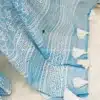 sky-blue-saree-block-embroidery-aunogha-bg